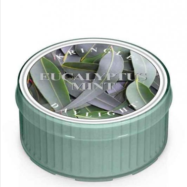  Kringle Candle - Eucalyptus Mint - Świeczka zapachowa - Daylight (35g)